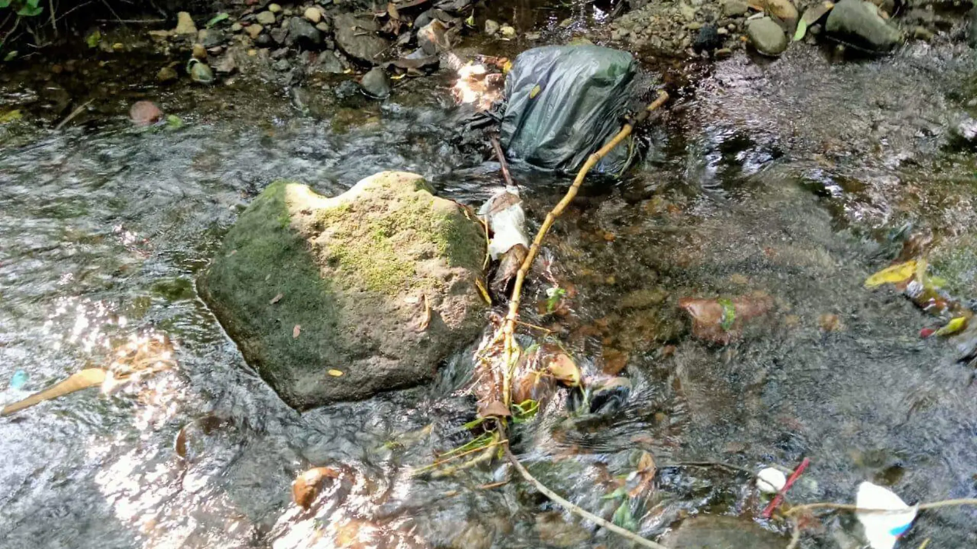 arroyo contaminado